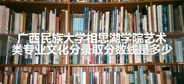 广西民族大学相思湖学院艺术类专业文化分录取分数线是多少