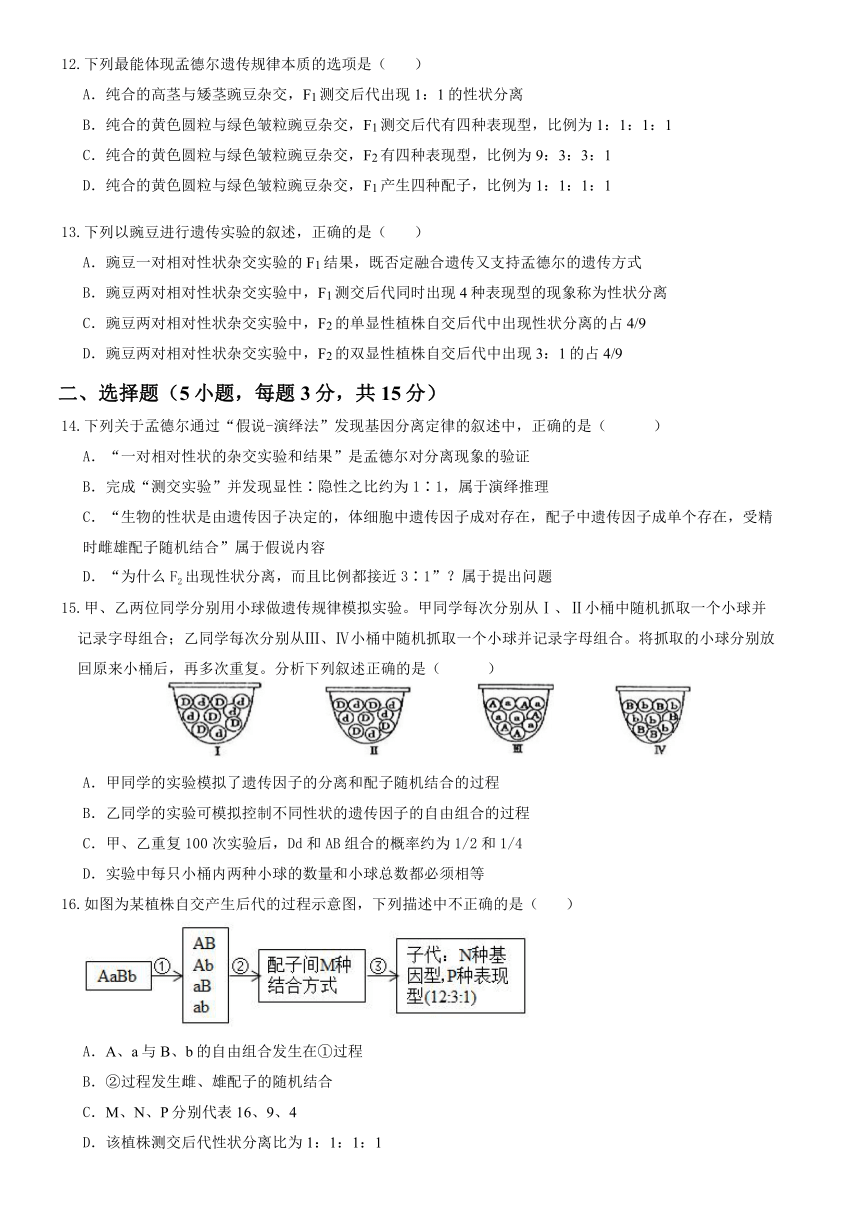 河南省郑州市中牟县2023-2024学年高一下学期3月月考生物学试题（含解析）