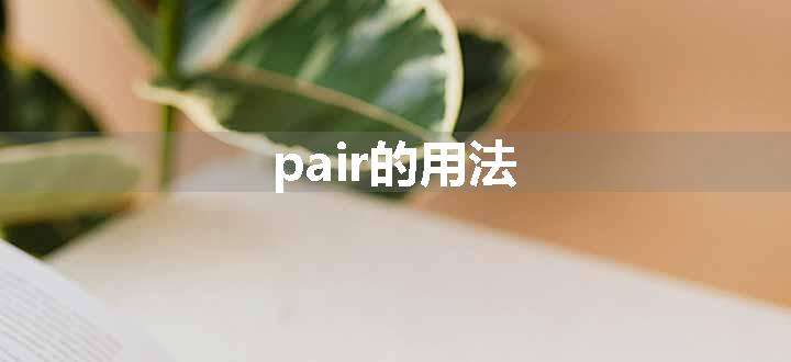 pair的用法