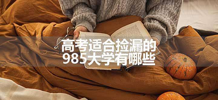 高考适合捡漏的985大学有哪些