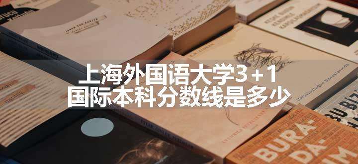 上海外国语大学3+1国际本科分数线是多少