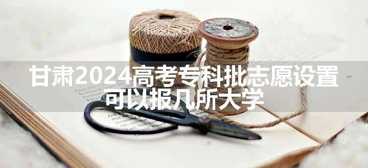 甘肃2024高考专科批志愿设置 可以报几所大学