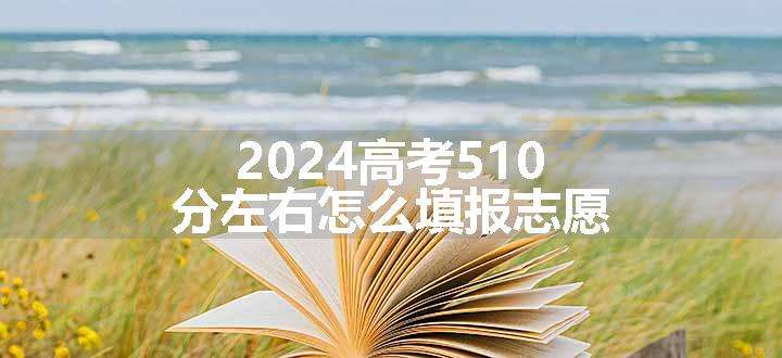 2024高考510分左右怎么填报志愿