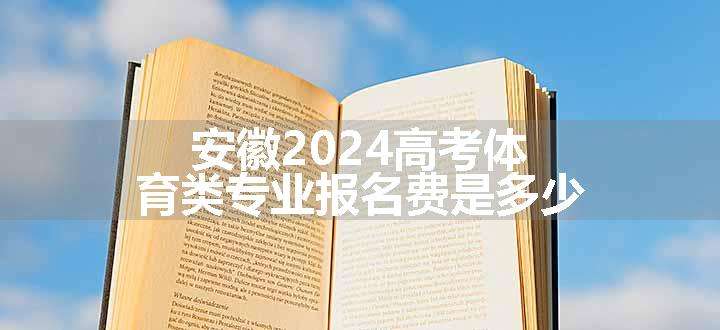 安徽2024高考体育类专业报名费是多少