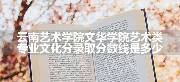 云南艺术学院文华学院艺术类专业文化分录取分数线是多少