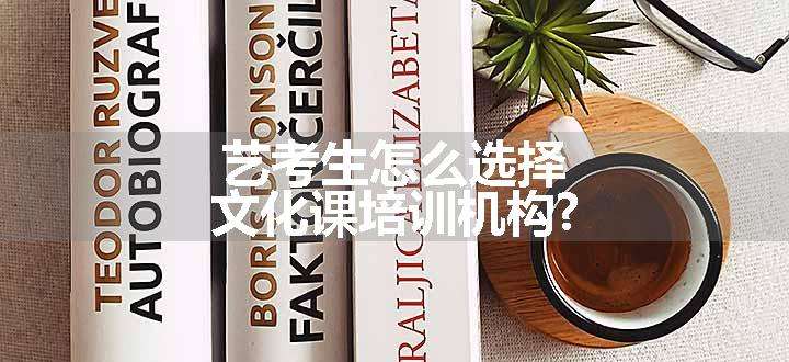 艺考生怎么选择文化课培训机构?