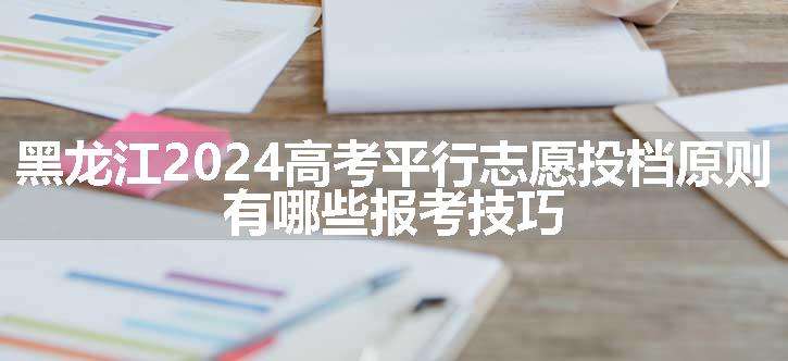 黑龙江2024高考平行志愿投档原则 有哪些报考技巧