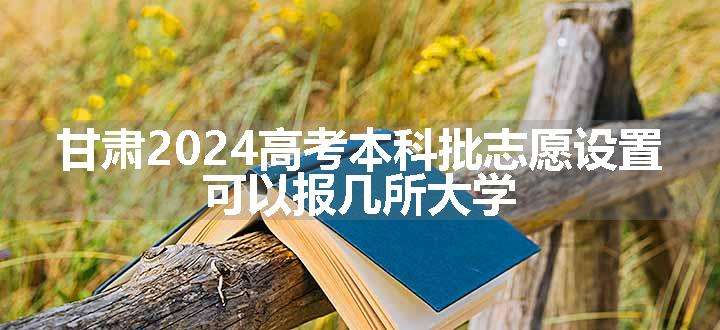 甘肃2024高考本科批志愿设置 可以报几所大学