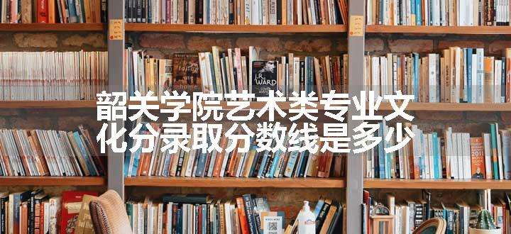 韶关学院艺术类专业文化分录取分数线是多少