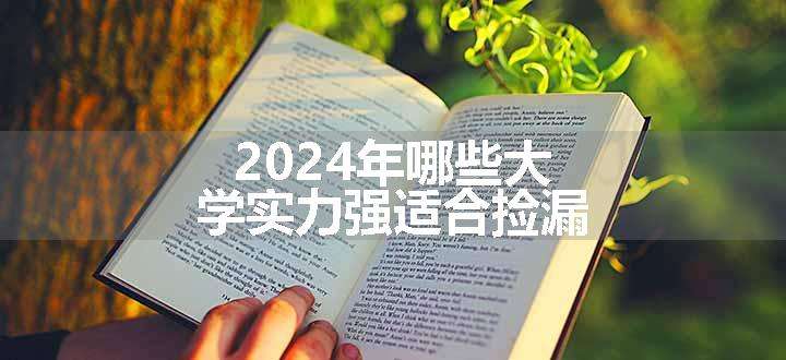 2024年哪些大学实力强适合捡漏