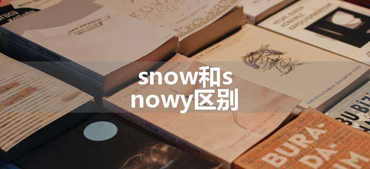 snow和snowy区别