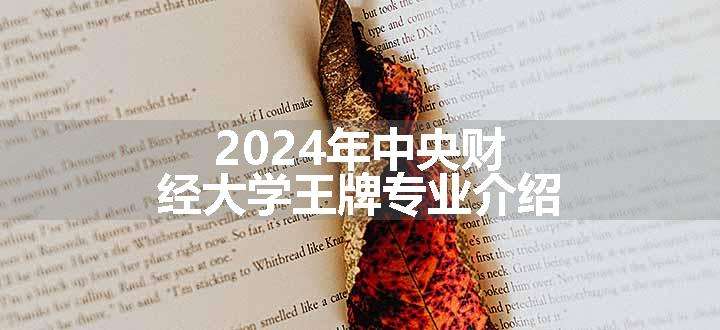 2024年中央财经大学王牌专业介绍