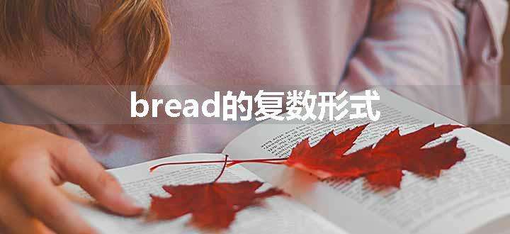 bread的复数形式.jpg