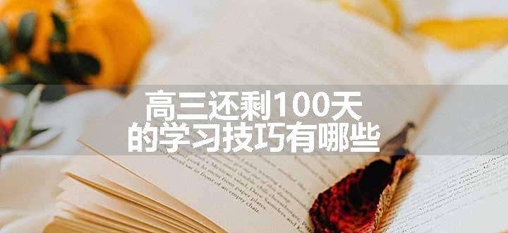 高三还剩100天的学习技巧有哪些