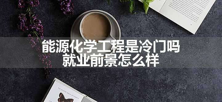 能源化学工程是冷门吗 就业前景怎么样