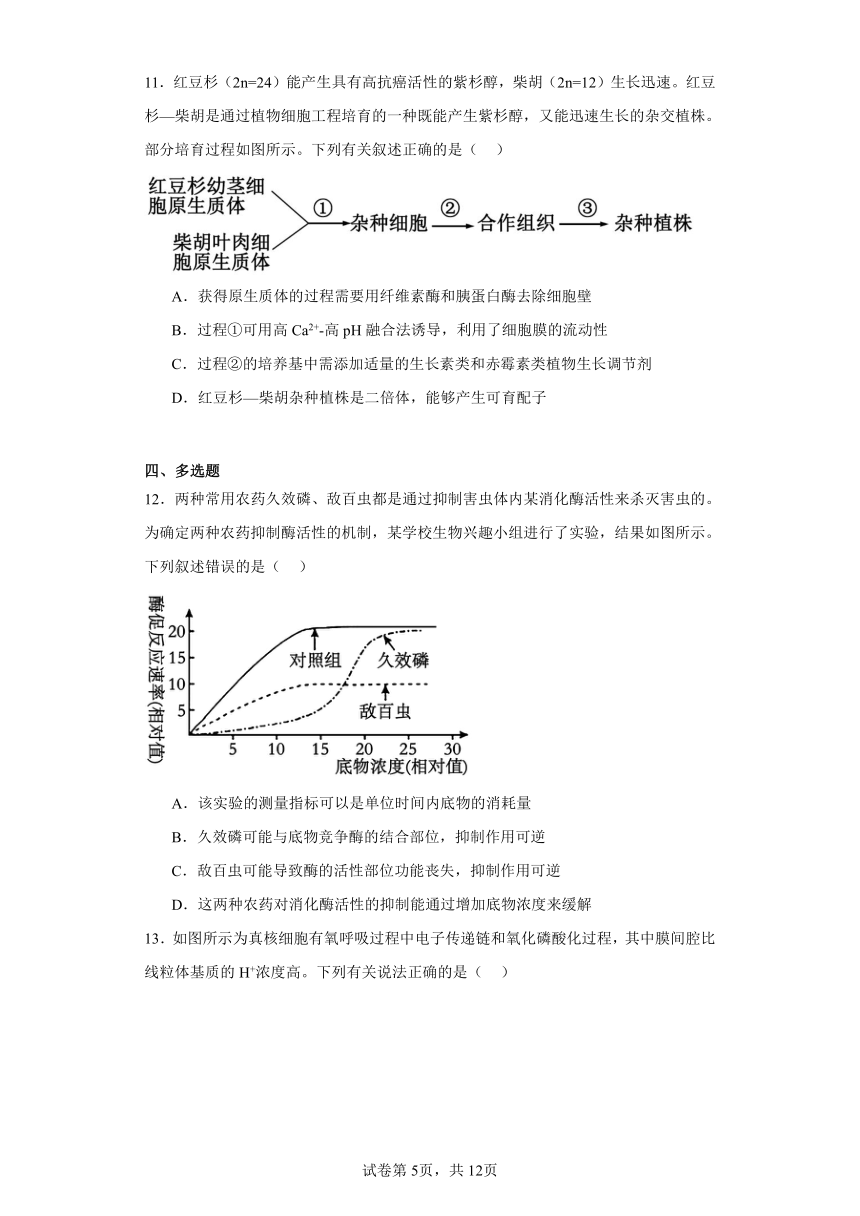 2024届湖南省长沙市长郡中学高三高考适应性考试（二）生物试题（含解析）