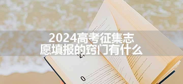 2024高考征集志愿填报的窍门有什么