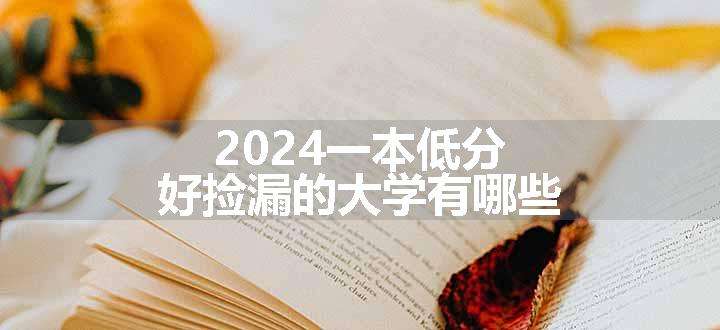 2024一本低分好捡漏的大学有哪些