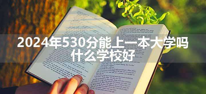 2024年530分能上一本大学吗 什么学校好