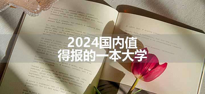 2024国内值得报的一本大学