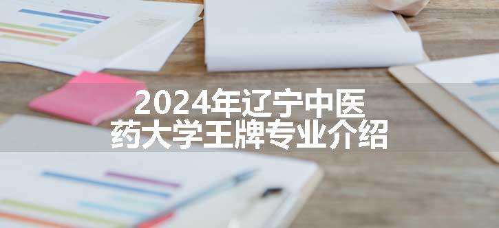 2024年辽宁中医药大学王牌专业介绍