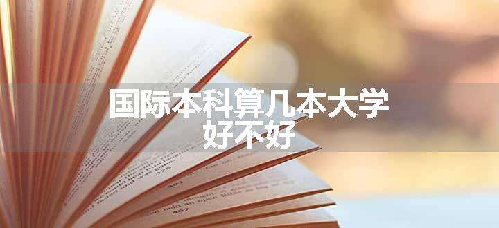 国际本科算几本大学 好不好