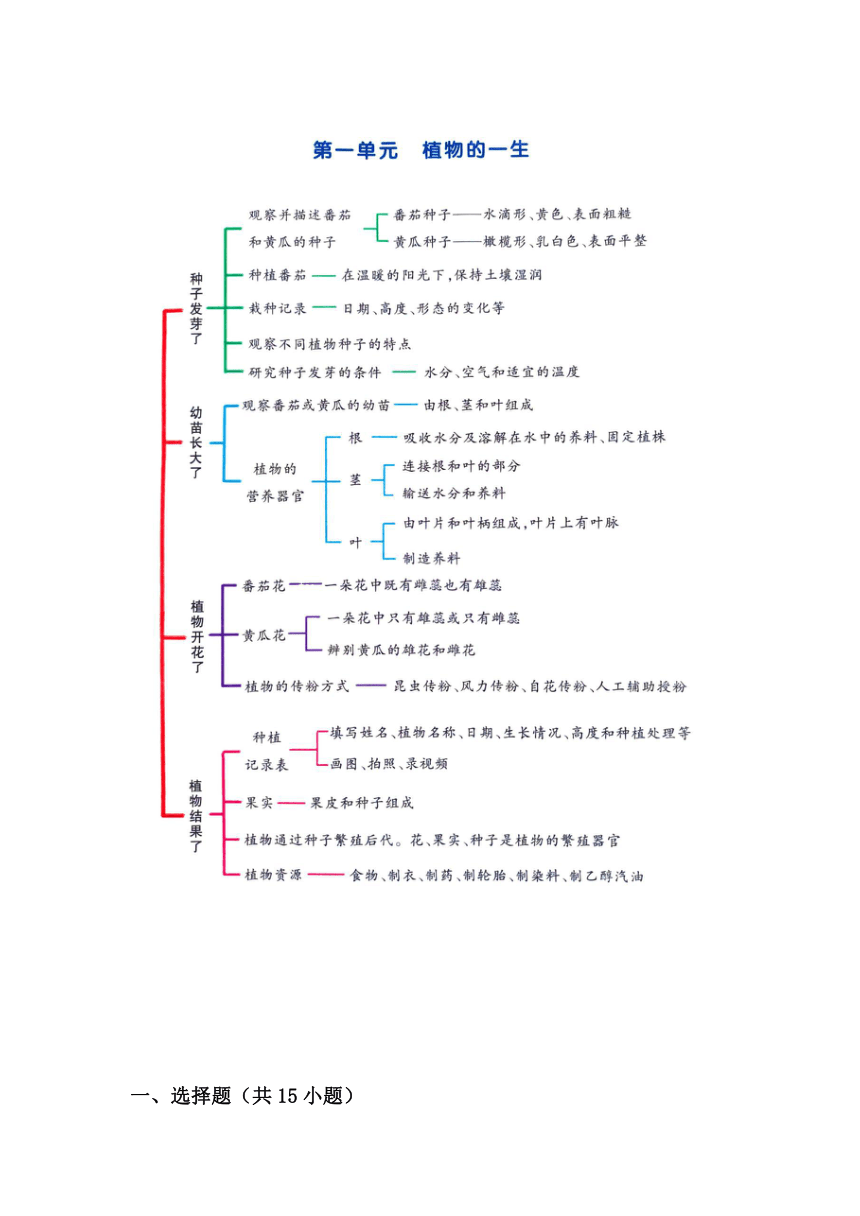 2023-2024学年三年级科学下学期期中专项复习（苏教版）第一单元植物的一生（含解析答案）