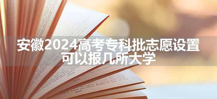 安徽2024高考专科批志愿设置 可以报几所大学