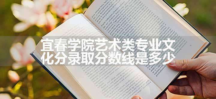 宜春学院艺术类专业文化分录取分数线是多少