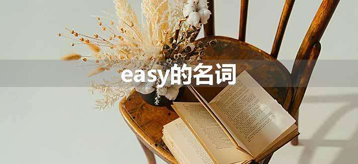 easy的名词