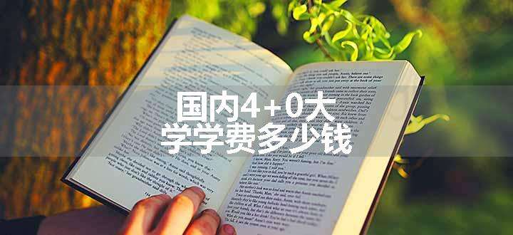 国内4+0大学学费多少钱