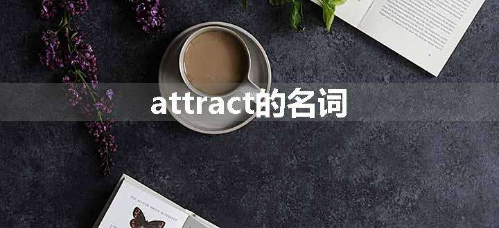 attract的名词.jpg