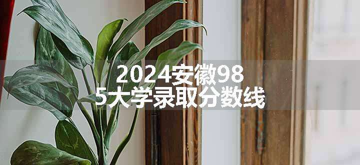 2024安徽985大学录取分数线