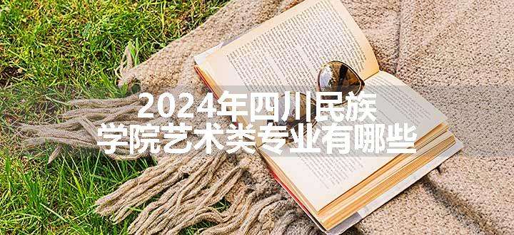 2024年四川民族学院艺术类专业有哪些