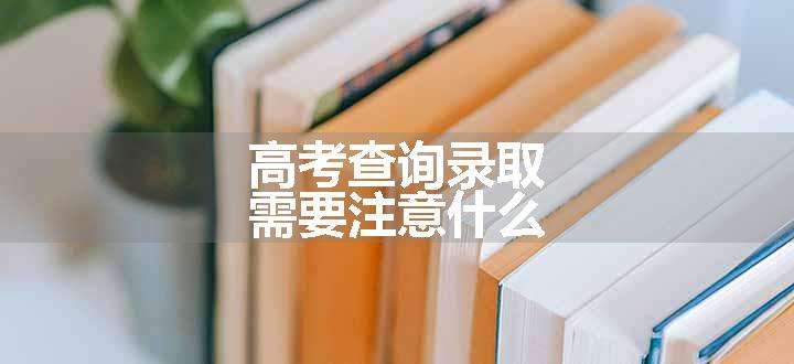 高考查询录取需要注意什么