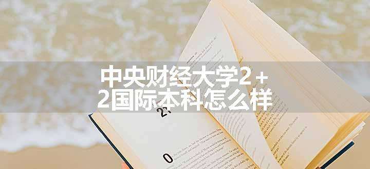 中央财经大学2+2国际本科怎么样