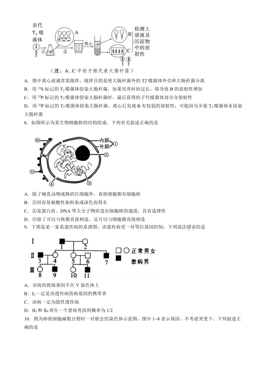 广东省广州市第六中学2023-2024学年高一下学期期中考试生物学试题（含答案）