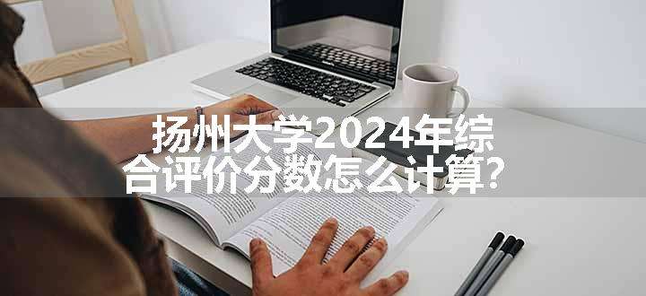 扬州大学2024年综合评价分数怎么计算？