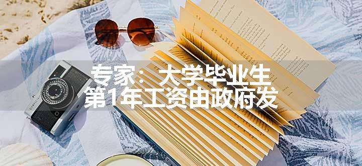 专家：大学毕业生第1年工资由政府发