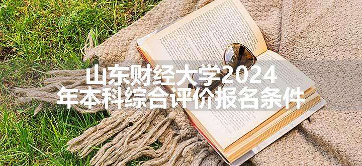 山东财经大学2024年本科综合评价报名条件