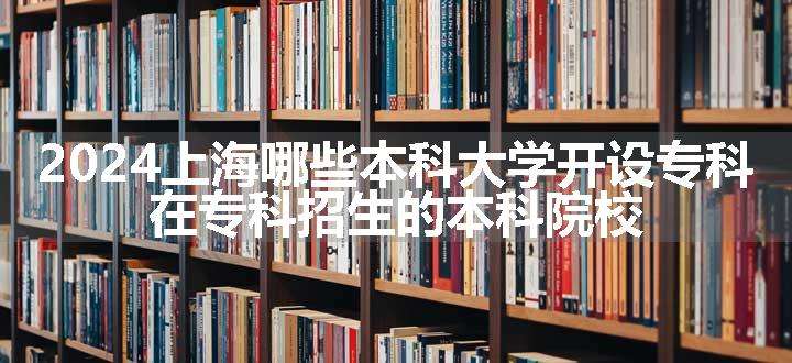 2024上海哪些本科大学开设专科 在专科招生的本科院校