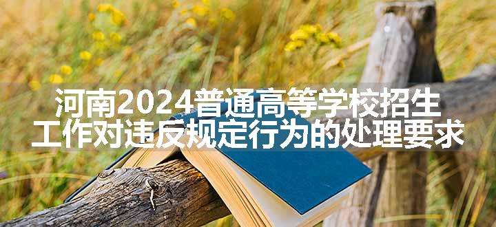 河南2024普通高等学校招生工作对违反规定行为的处理要求