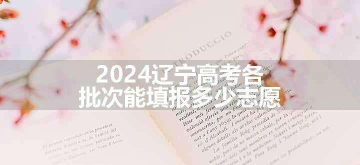 2024辽宁高考各批次能填报多少志愿