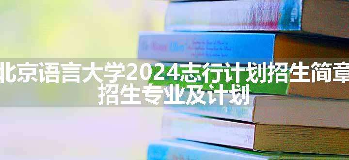 北京语言大学2024志行计划招生简章 招生专业及计划