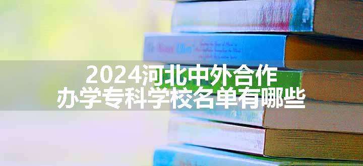 2024河北中外合作办学专科学校名单有哪些