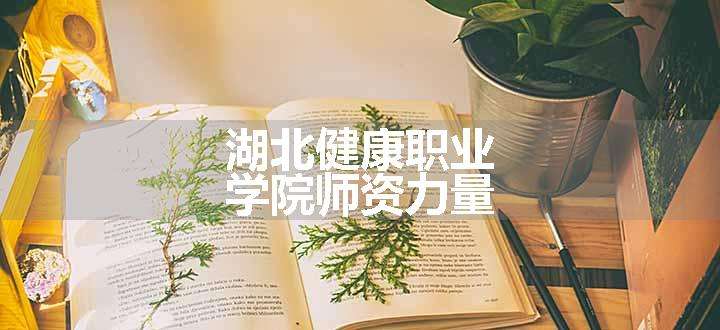 湖北健康职业学院师资力量