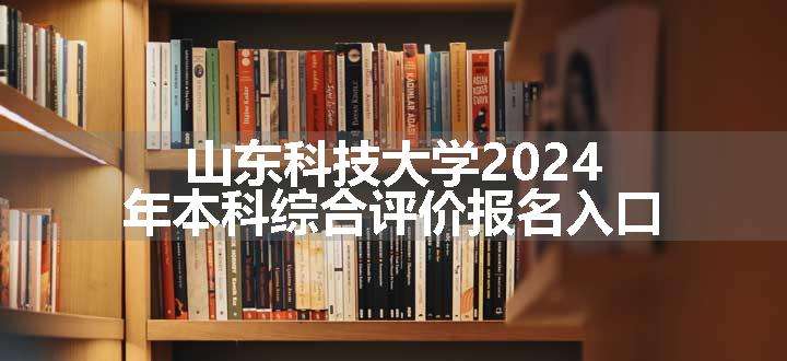 山东科技大学2024年本科综合评价报名入口
