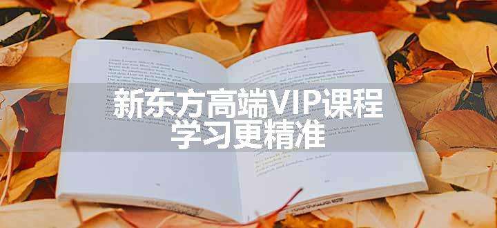 新东方高端VIP课程 学习更精准