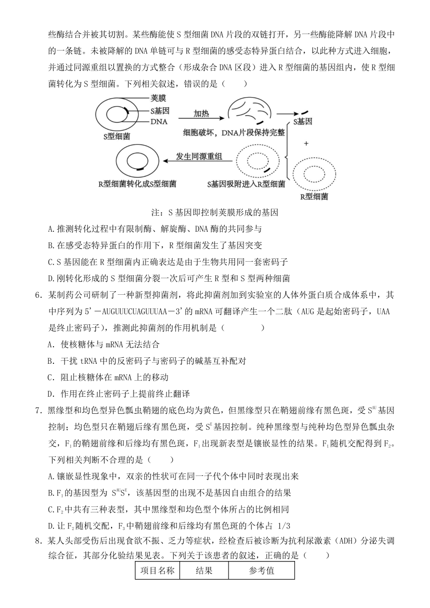 福建省三明市宁化市第一中学2023-2024学年高三下学期三明市质检模拟考试生物学试题（含答案）