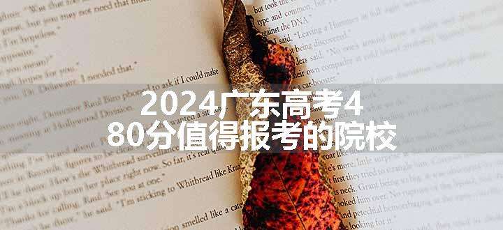 2024广东高考480分值得报考的院校